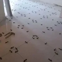 کاشی کاری وسنگ کاری، کلی و خورده کاری