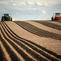 فروش-زمین-کشاورزی