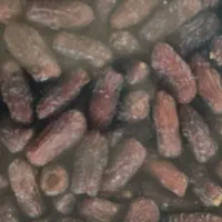 خرما درجه یک صادراتی و چیپش خرما پیارم