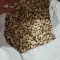 تاجر پسته در یزد به عکس دوم توجه کنید