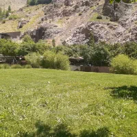 زمین پسته