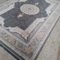فرش ۱۷۰۰شانه تراکم ۵۲۰۰/با نخ مرینوس بافت|فرش|شیراز, لاله|دیوار