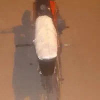 فروش موتور مینی تریل|موتورسیکلت|بندرعباس, |دیوار