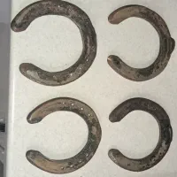 فروش نعل