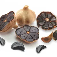 سیر سیاه