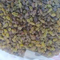 کشمش‌سایه‌خشک‌قیمت‌کیلو‌۴۵۰