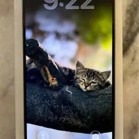 Iphone 15 pro max 256g|موبایل|تهران, زیبادشت|دیوار