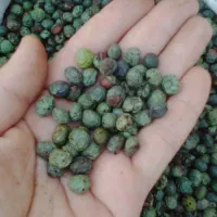 بنه کوهی پارسال|خوردنی و آشامیدنی|شیراز, شهرک گلستان شمالی|دیوار