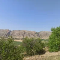 3000متر باغ لیمو|فروش خانه و ویلا|بوستان, |دیوار