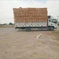 پرس کاه شالی