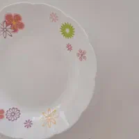 ظروف آش و سوپ خوری آرکوپال دسینی