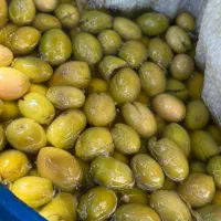 زیتون شکسته درشت وروغن زیتون|خوردنی و آشامیدنی|منجیل, |دیوار