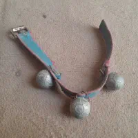 قلاده توله سگ