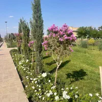 کارگر فضای سبز با تجربه