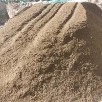 کودحیوانی