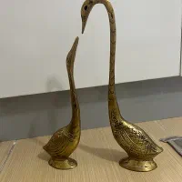قو برنزی