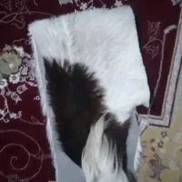 پوست‌بز‌کوهی‌سالم‌سالم‌اصل