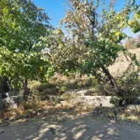 ۶۴۰ متر زمینن باغ شهری|فروش زمین و ملک کلنگی|کوار, |دیوار