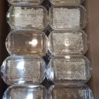 زنبورستان عسل