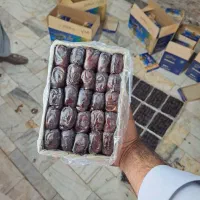 خرما مضاوتی درجه یک صادراتی