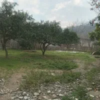 فروش-زمین-جنگلی-سند-دار-و-پیمانکاری