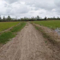 فروش زمین کشاورزی