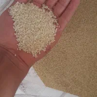 برنج نیم دانه بیرانشهر