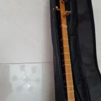 سه تار بامهر علی پور|سازهای سنتی|فردیس, شهرک گلها|دیوار