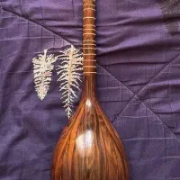 سه تار سلمان