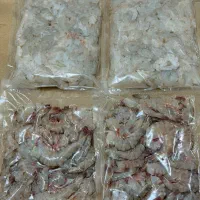 میگو و ماهی