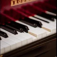 فروش و خریدار ارگ و پیانو (حتی خراب)