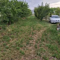 باغ برجاده|فروش دفتر صنعتی، کشاورزی، تجاری|خوی, |دیوار