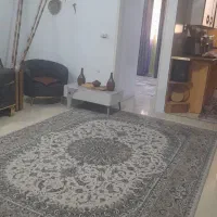 اجاره خانه آپارتمان ۵۵ متری یک خوابه در مسعودیه|اجارهٔ آپارتمان|تهران, مسعودیه|دیوار