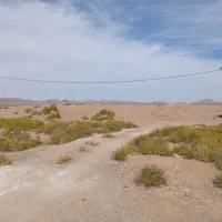 مشارکت برای ساخت گلخانه