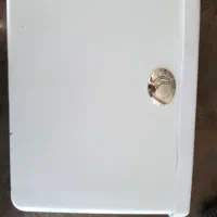 فروش  فلاش تانک سکنا مدل اسیا