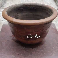 گلدان سفالی|گل و گیاه طبیعی|گنبد کاووس, |دیوار