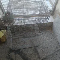 قفس پرنده