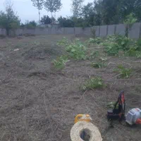 هرس علف های هرز و قطع درخت|خدمات باغبانی و درختکاری|فومن, |دیوار