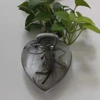 گلدان شیشه ای قلبی دیوار کوب