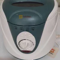 سرخ کن روغنی