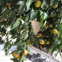 ویلایی دوطبقه|فروش خانه و ویلا|اصفهان, ملک|دیوار