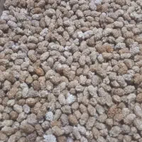 توت خشک (زورده) و(ناوبر)