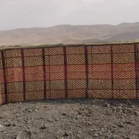 چیت