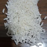 نیمدانه درشت خالص هاشمی|خوردنی و آشامیدنی|تولم شهر, |دیوار