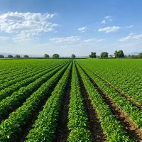 فروش سهم چاه و یه قطعه مسکونی چاهستان
