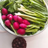 فروش و طبخ غذای خانگی