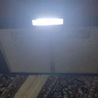 هود|هود|محمدیه-قزوین, |دیوار