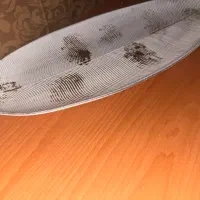 ظرف پذیرایی شیک و مدرن