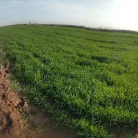 روستایه دهلیز ۲