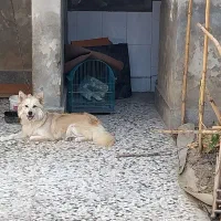 واگذاری بصورت معاوضه با موتور